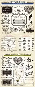 Calligraphic Vintage Design Elements Vector