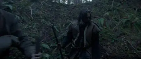 The Revenant (2015)