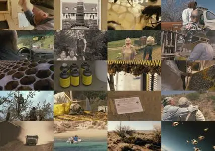 More Than Honey (2012)