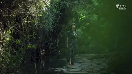 Eurovision Song Contest Tel Aviv 2019 (2019)
