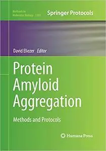 Protein Amyloid Aggregation: Methods and Protocols