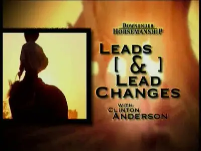 Clinton Anderson - Leads & Lead Changes