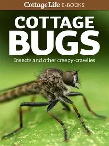 Cottage Bugs: Insects and other creepy crawlies