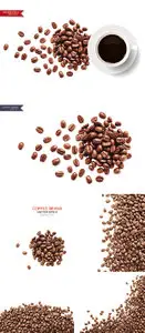 Realistic Coffee Beans Vector