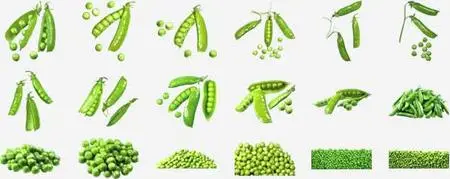 Izosoft mc002 - Green Pears[img]230473[/img]