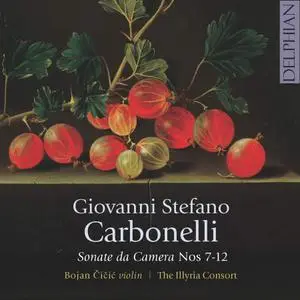 Bojan Čičić & The Illyria Consort - Vivaldi & Carbonelli: Works for Violin (2019) [Official Digital Download 24/48]