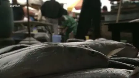 (Arte) Le caviar, ce trésor venu d'Iran (2011)