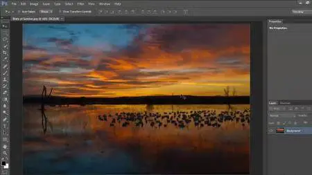 Photoshop CS6: Image Cleanup