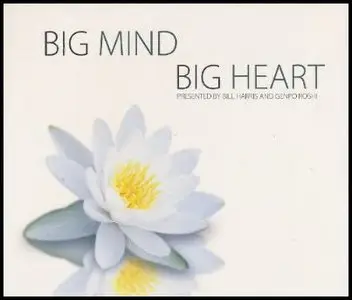 Genpo Roshi, Bill Harris - Big Mind Big Heart [4 DVD Set]