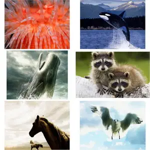 Wallpapers Animals. Set 2