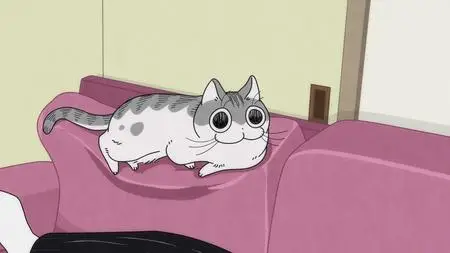 Nights with a Cat - 59