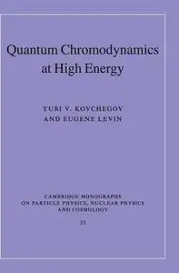 Quantum Chromodynamics at High Energy