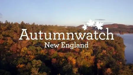 BBC - Autumnwatch 2018 (2018)