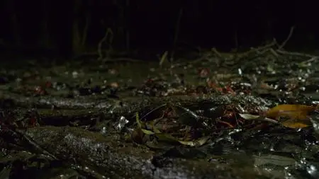 Dead by Dawn S01E04