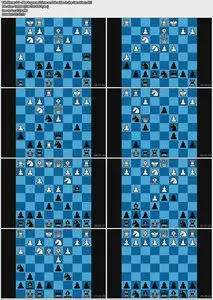Roman's Lab Vol. 71 - New Improved Lines and Novelties in the Caro-Kann