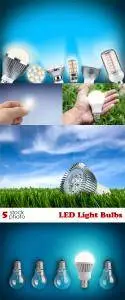 Photos - LED Light Bulbs