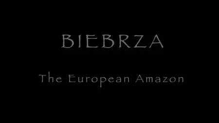 Agencja Orzel - Biebrza - The European Amazon (2016)