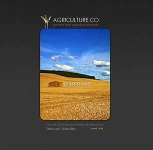 Template Monster 13197 FULL