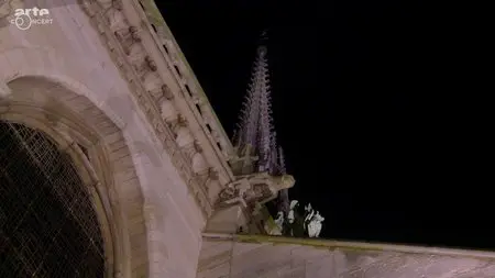 (Arte) Dans le ventre de l'Orgue de Notre-Dame (2015)