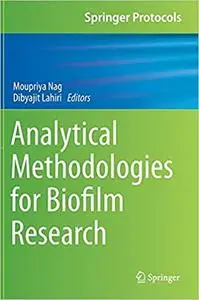 Analytical Methodologies for Biofilm Research
