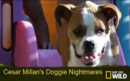 National Geographic - Cesar Millan's Doggie Nightmares (2014)
