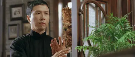 Ip Man (2008)