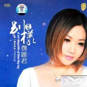 Rui Chen - Collection (2007-2020)