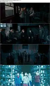 Harry Potter and the Order of the Phoenix (2007)