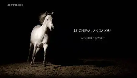 (Arte) Le cheval andalou, monture royale (2016)