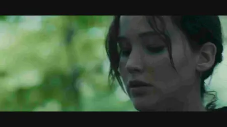Hunger Games (2012)