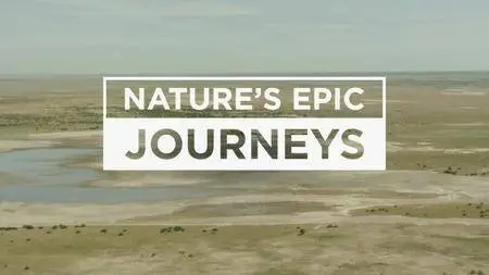 BBC - Nature's Epic Journeys (2016)