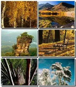 SuperPack Beautiful Nature HD Wallpapers Part (184)
