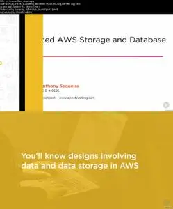 Advanced AWS Storage and Database Design