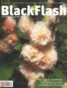 BlackFlash – December 2014