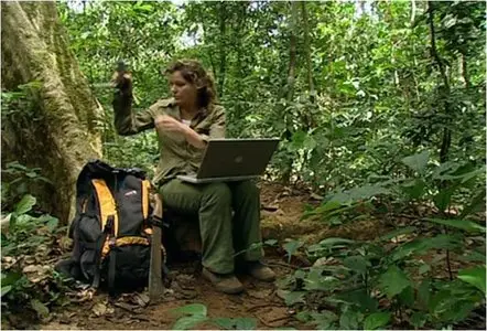 BBC: Jungle (2003)