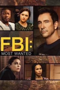 FBI: Most Wanted S05E05
