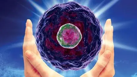 Biology End Of Course (Eoc) Review (Cells)