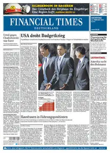 Financial Times Deutschland vom 15 Januar 2011