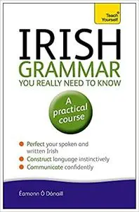 Teach Yourself Irish Grammar You Really Need to Know: A Practical Course Ed 2