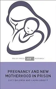 Pregnancy and New Motherhood in Prison