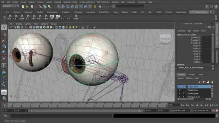 Digital Tutors: Rigging the Human Face in Maya 2011 (Repost)