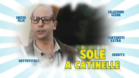 Sole a catinelle (2013)