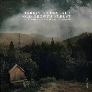 Harris Eisenstadt - Old Growth Forest (2016)