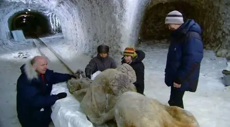BBC - Woolly Mammoth: Secrets from the Ice (2012)