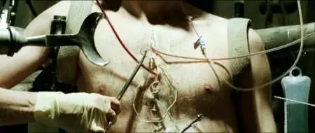 György Pálfi-Taxidermia (2006)