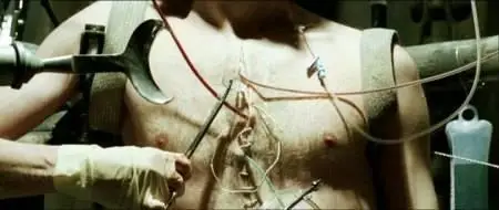 György Pálfi-Taxidermia (2006)