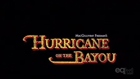 IMAX - Hurricane on the Bayou (2006)