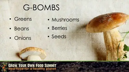 V.A - How to Grow Your Own Food Summit (2014)