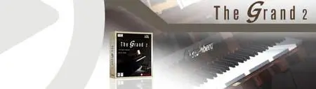Steinberg The Grand 2