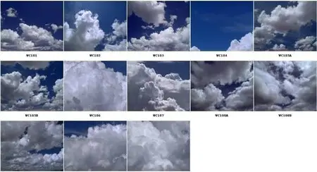 Artbeats - White Puffy Clouds HD